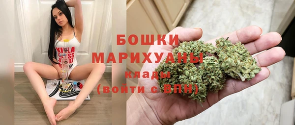 твердый Аркадак