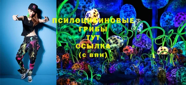 дмт Арсеньев