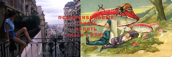 дмт Арсеньев
