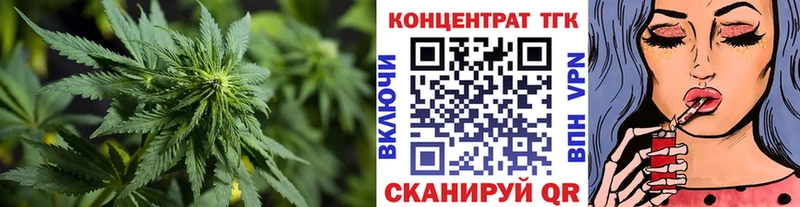 ТГК гашишное масло  купить  сайты  Стародуб 