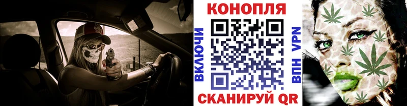 Марихуана гибрид Стародуб